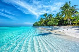 Healing Meets Holiday: Curating the Complete Medical Tourism Experience in Nha Trang