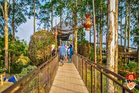 2. Healing, But Make It an Adventure: Bandung’s Top Experiences Beyond the Hospital Gown