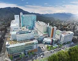 More Than a Hospital Stay: Wellness Infrastructure and Destination Management