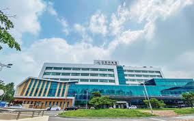 Healing in Unexpected Places: Wellness Therapies and Recovery in Incheon