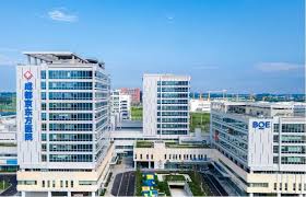 Hidden Dimensions of Chengdu's Medical Tourism: Culture, Care, and Recovery Beyond the Hospital Cover