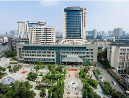 The Chengdu Effect: Why Patients (and Pandas) Heal Here