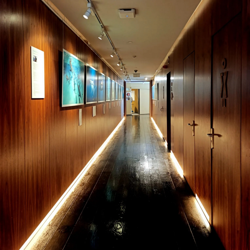 Luxury boutique hotel corridor at Corpo Santo Lisbon with modern interior design