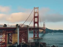 Cost Savings and Seamless Logistics: The Unsung Benefits of DMCs