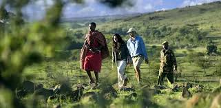 Beyond Amboseli: Exploring Kenya’s Expansive Safari and Adventure Palette