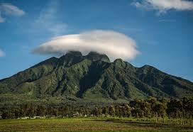 The Unsung Heroes: How Destination Management Companies Enrich Rwanda Safari Experiences