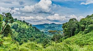 3. More Than Gorillas: Exploring Uganda’s Diverse Natural Treasures