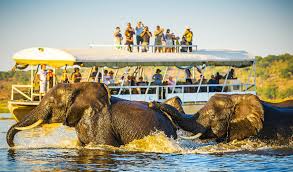 Extending the Adventure: Iconic Safari and Cultural Experiences in Kenya