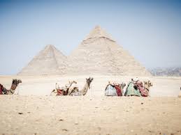 Crafting Seamless Adventures: The Indispensable Role of Destination Management Companies