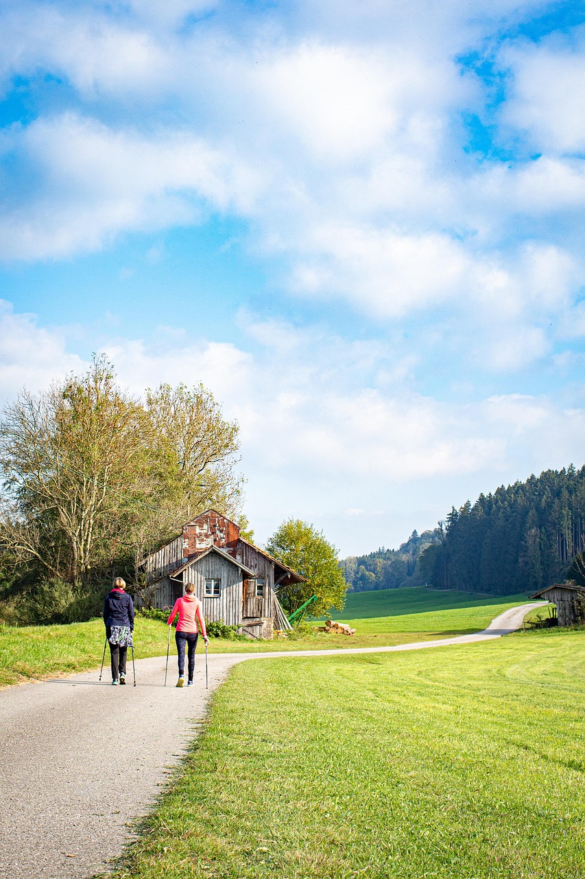 Guided vs Self-Guided: Logistics, Comfort, and Connection