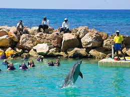 Practical Tips, Logistics, and Quick Facts