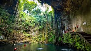 Core DMC Services: Logistics, Risk Management, and On-Ground Support