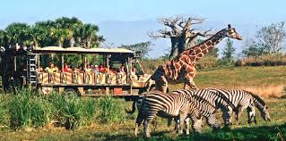 3) Must-Do South Africa Experiences & Sample Micro-Itineraries